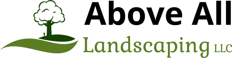 AAL_Trans_Long